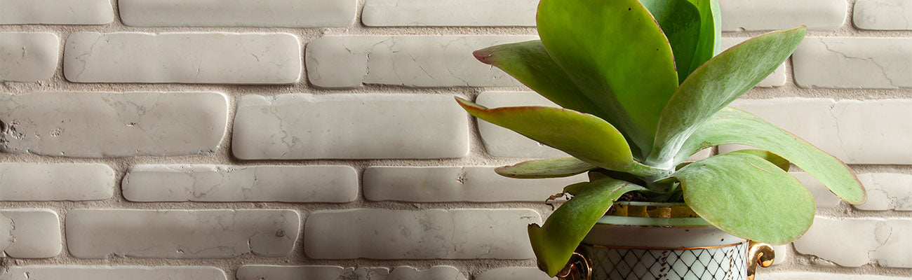 Timeworn Marble - Bianco Antico
