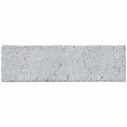 2x8 Glazed Brick
