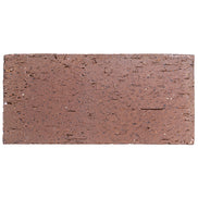 Catalina Brick Paver Light Ironspot