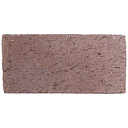 Catalina Brick Paver Medium Ironspot