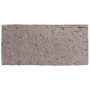 Catalina Brick Paver Sterling Grey