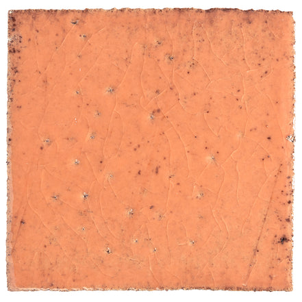 Clara Tierra Madre 4x4