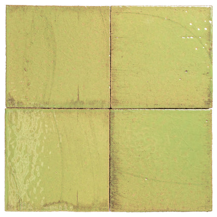 Clara Tierra Madre 6x6