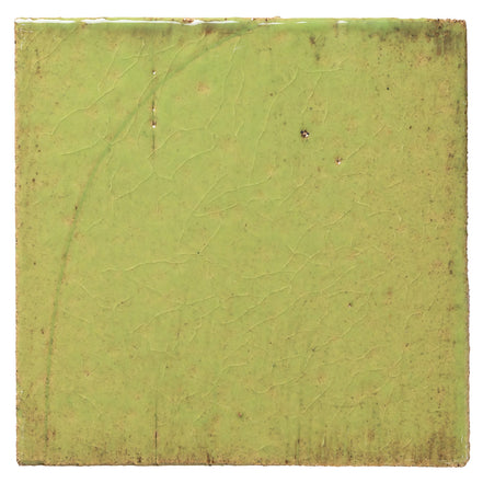 Clara Tierra Madre 6x6