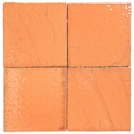 Clara Tierra Madre 6x6