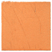 Clara Tierra Madre 6x6