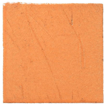 Clara Tierra Madre 6x6