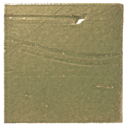 Clara Tierra Madre 6x6
