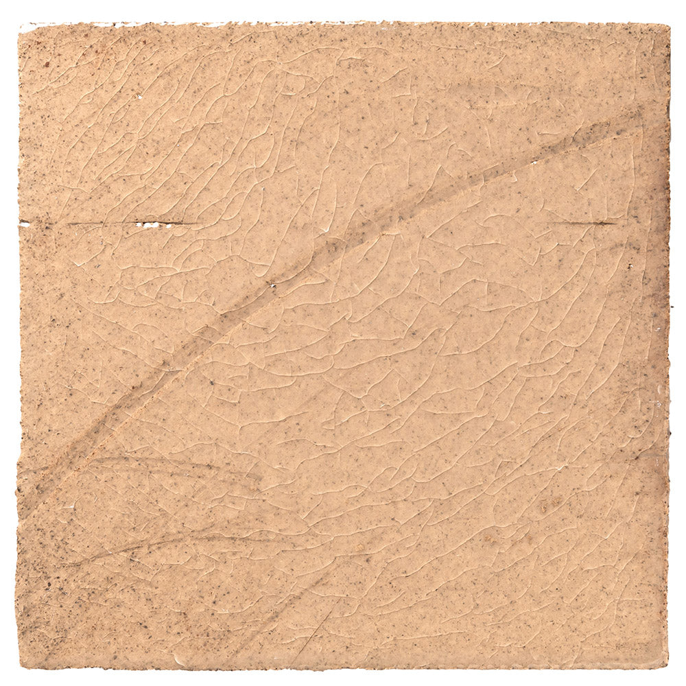 Clara Tierra Madre 6x6