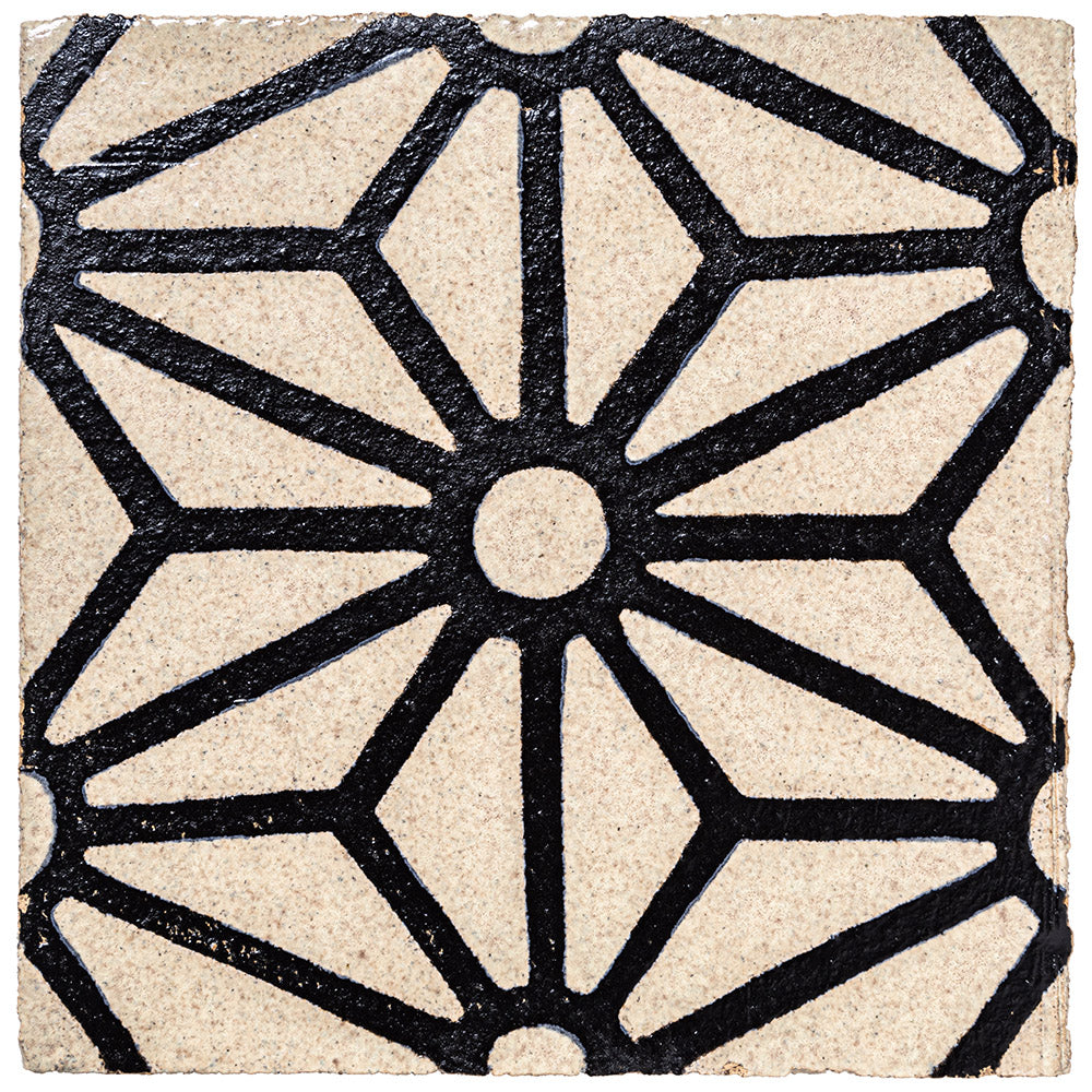 Metolius Ridge Deco Star Lattice B