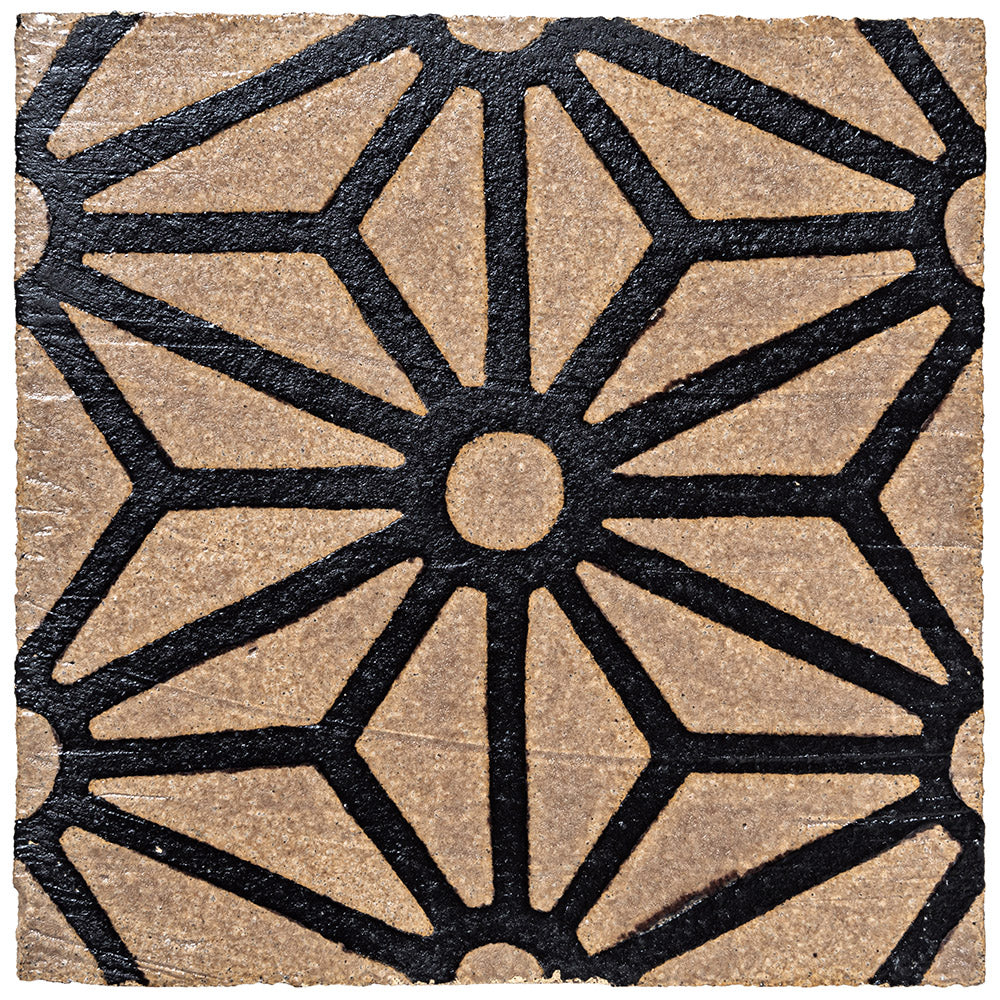 Metolius Ridge Deco Star Lattice D