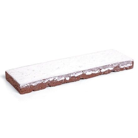 Sample 2x4 Glazed Brick