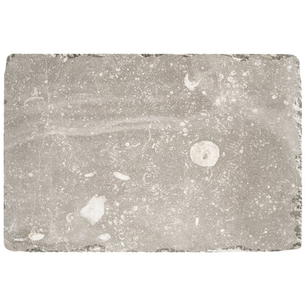 Sample Italian Porcelain 18mm Thick 8x12 Grigio KONFORT