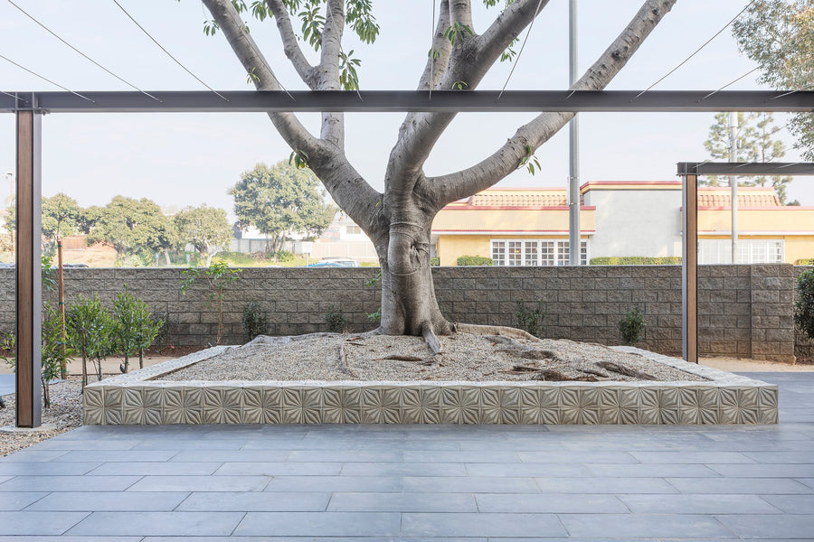 Beverly Towers Senior Center Courtyard