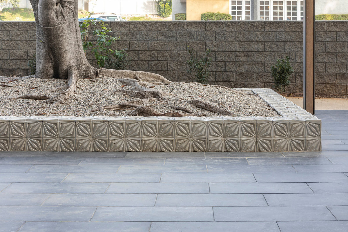Early Gray Compass Star planter wall
