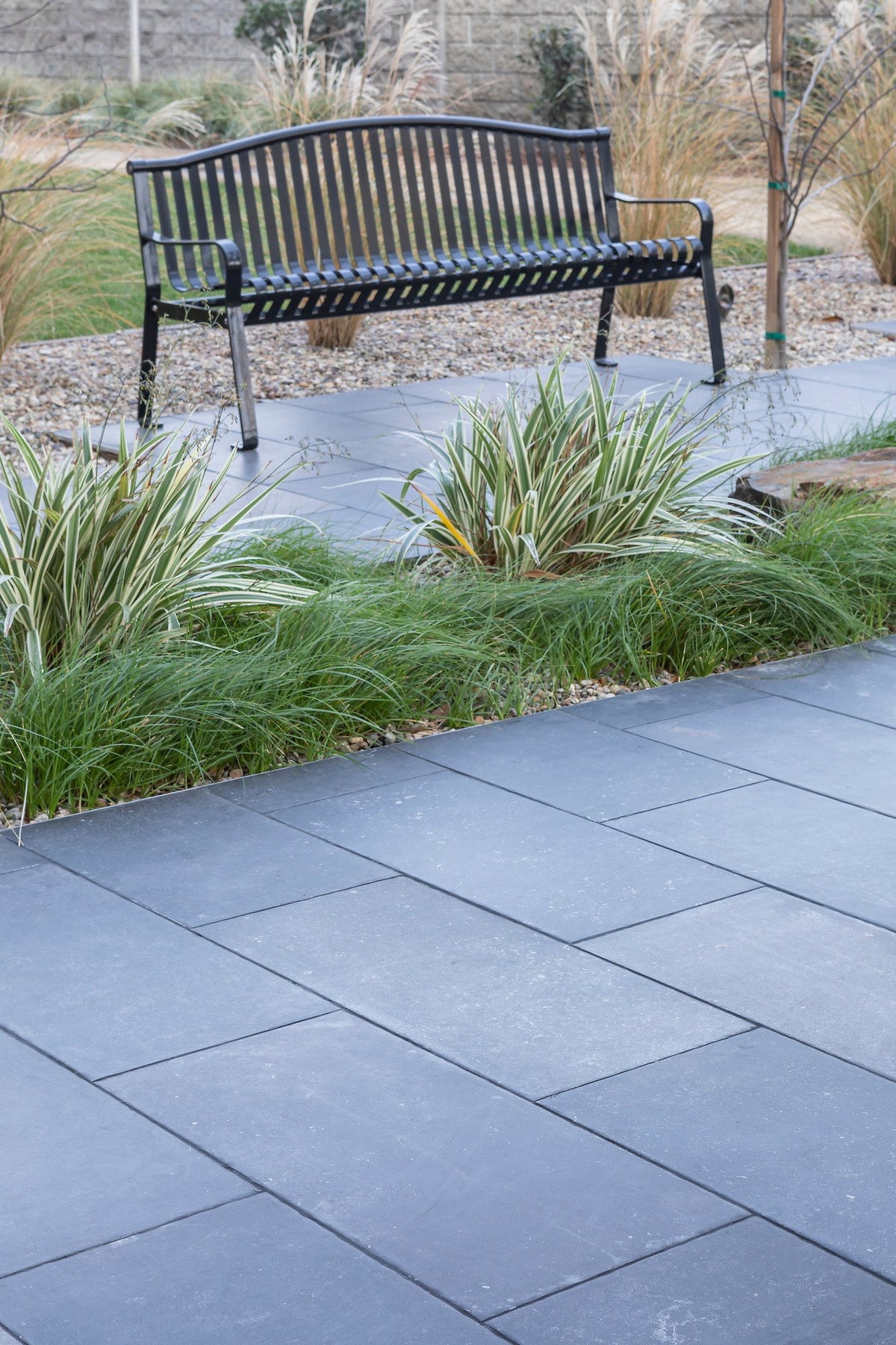 Porcelain paving along the plantings
