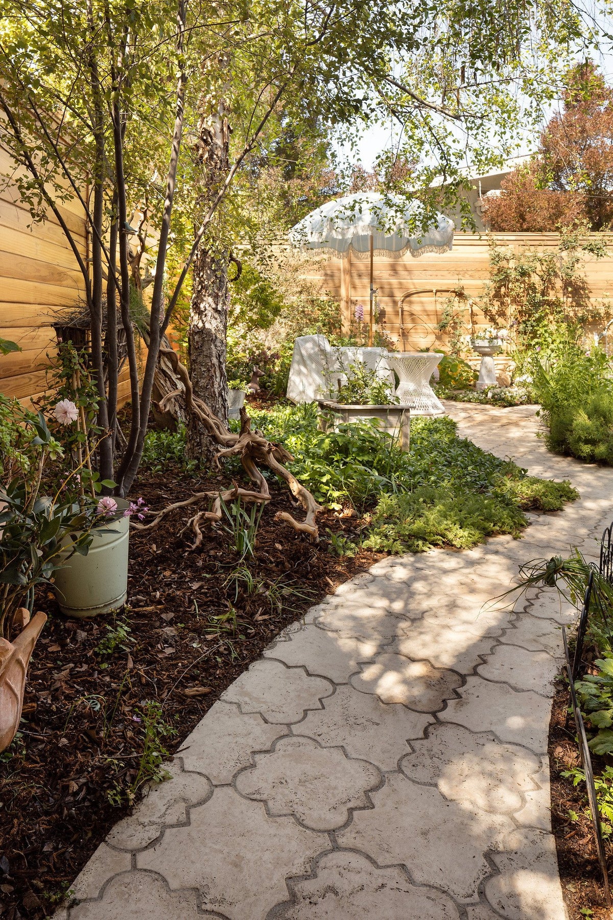 Pale Arabesque path along the fence