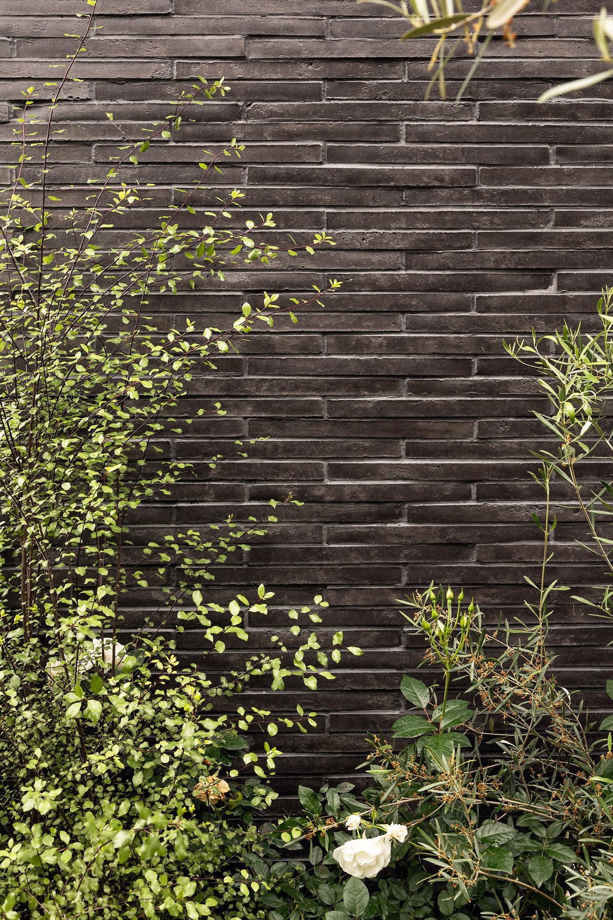 Plantings softening the brick wall