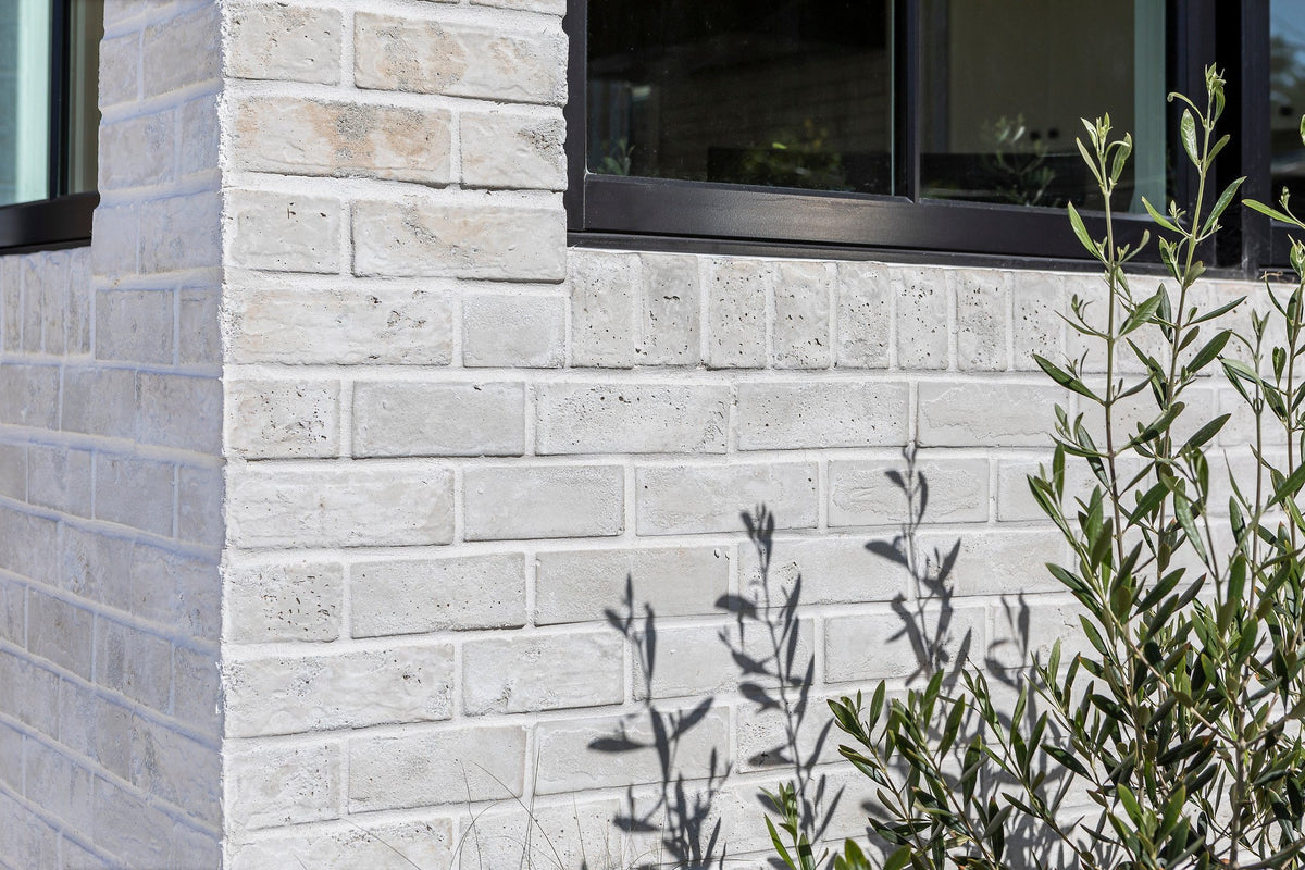 Brick wall with olive branches