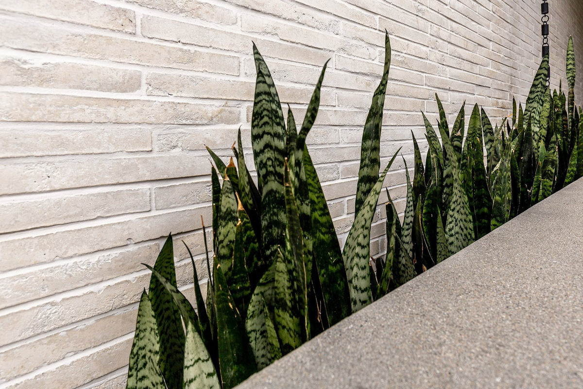 Long brick courses above a planter