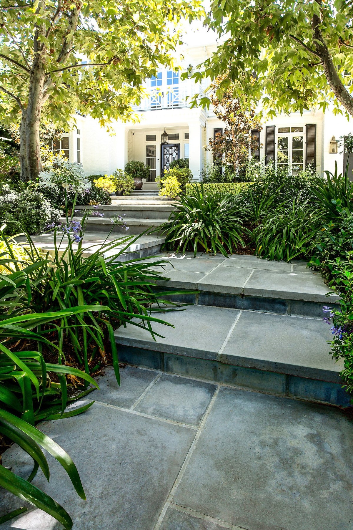 Paver steps through the front garden