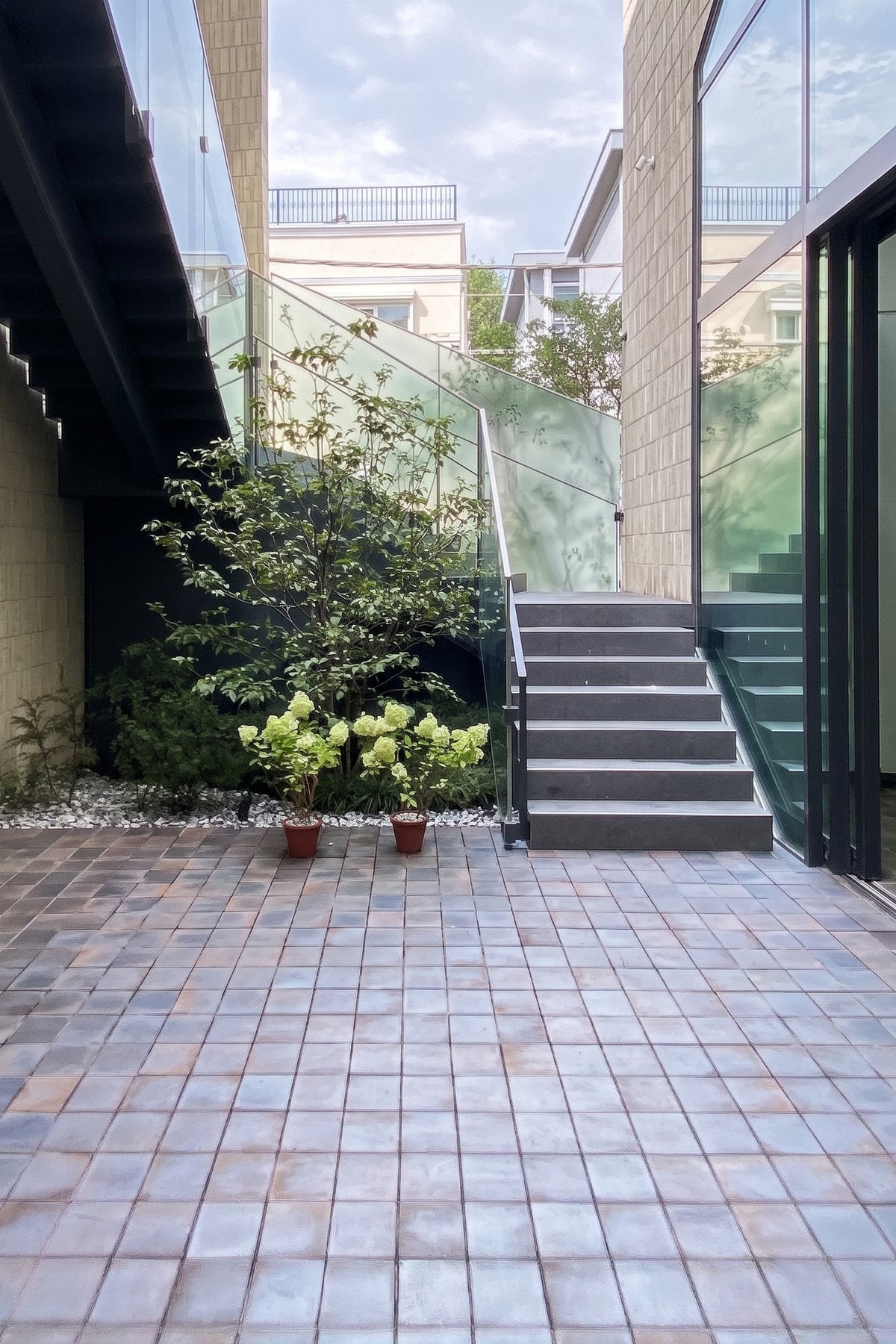 An open courtyard paved in Kuro, grey violet tile with a coppery sheen in daylight, a small tree and two potted hydrangeas by a dark stair