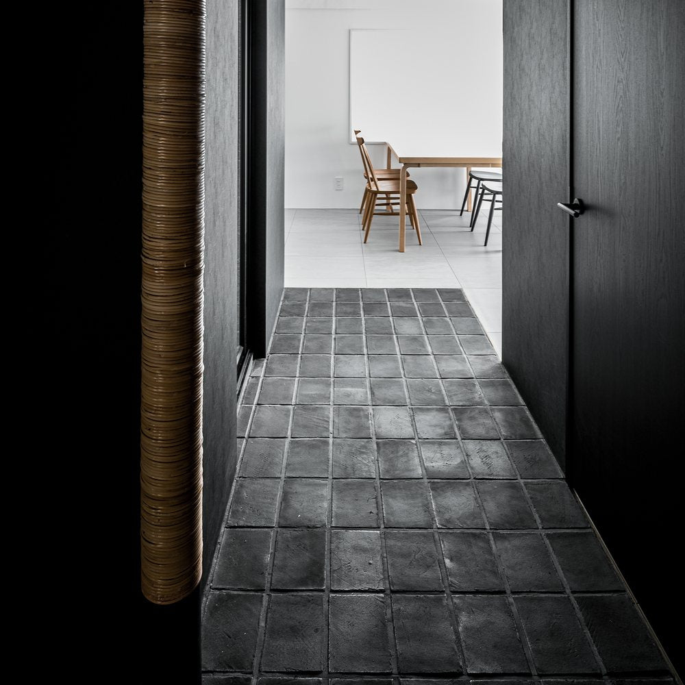 Kuro on the floor of a dark entry hall, leading to a white dining room