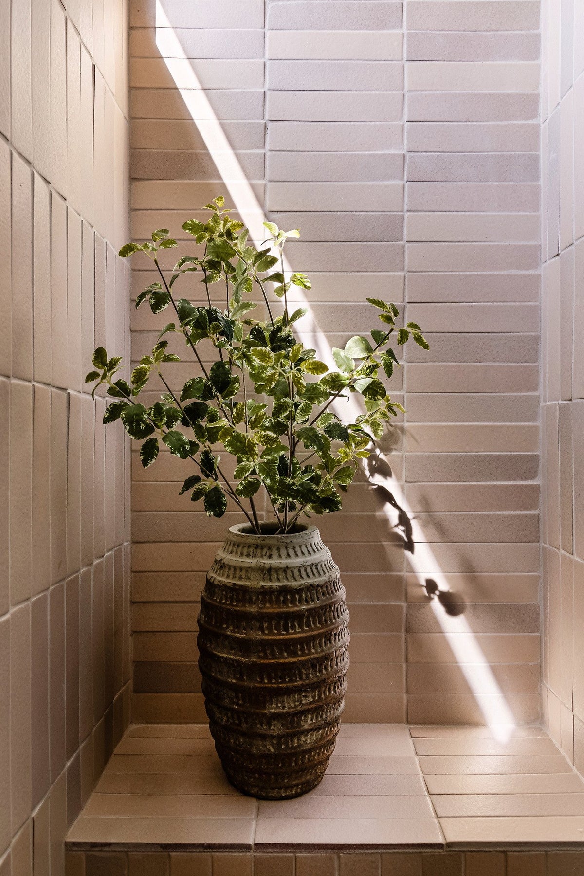 Shower in Studio 2x8 Alabaster