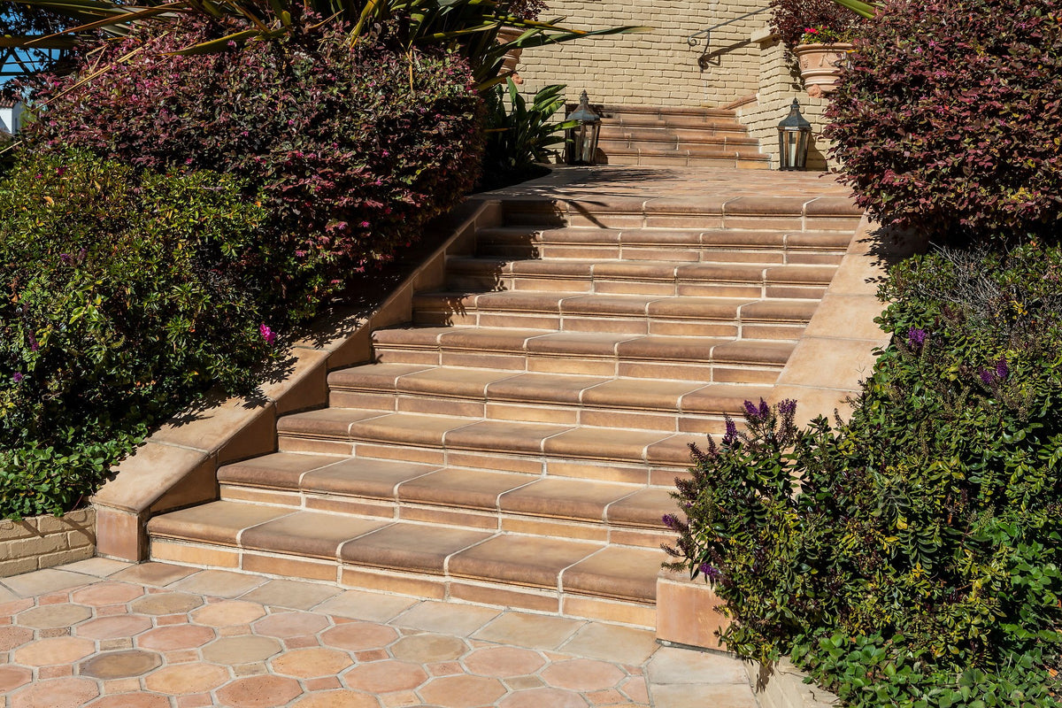 Stair run framed by plantings