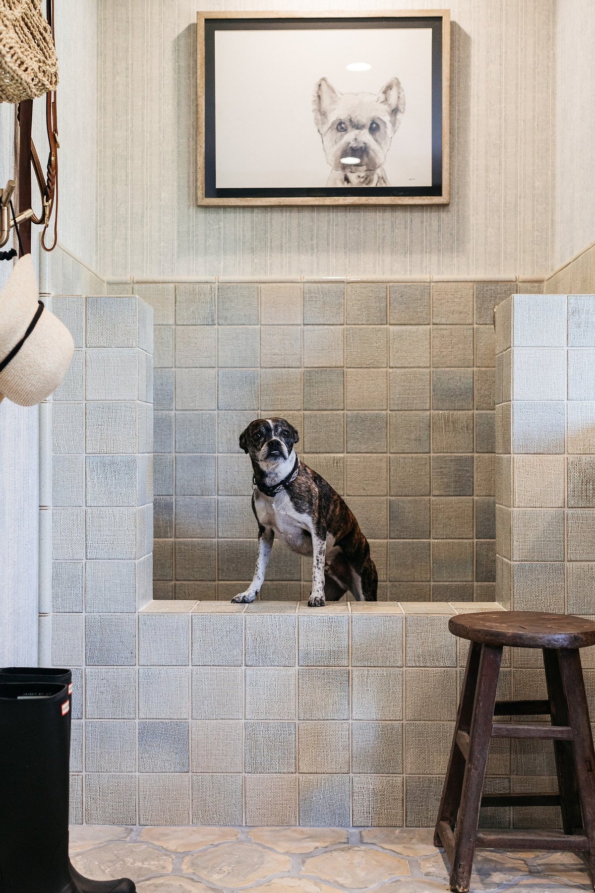 Dog wash lined in glazed square tile