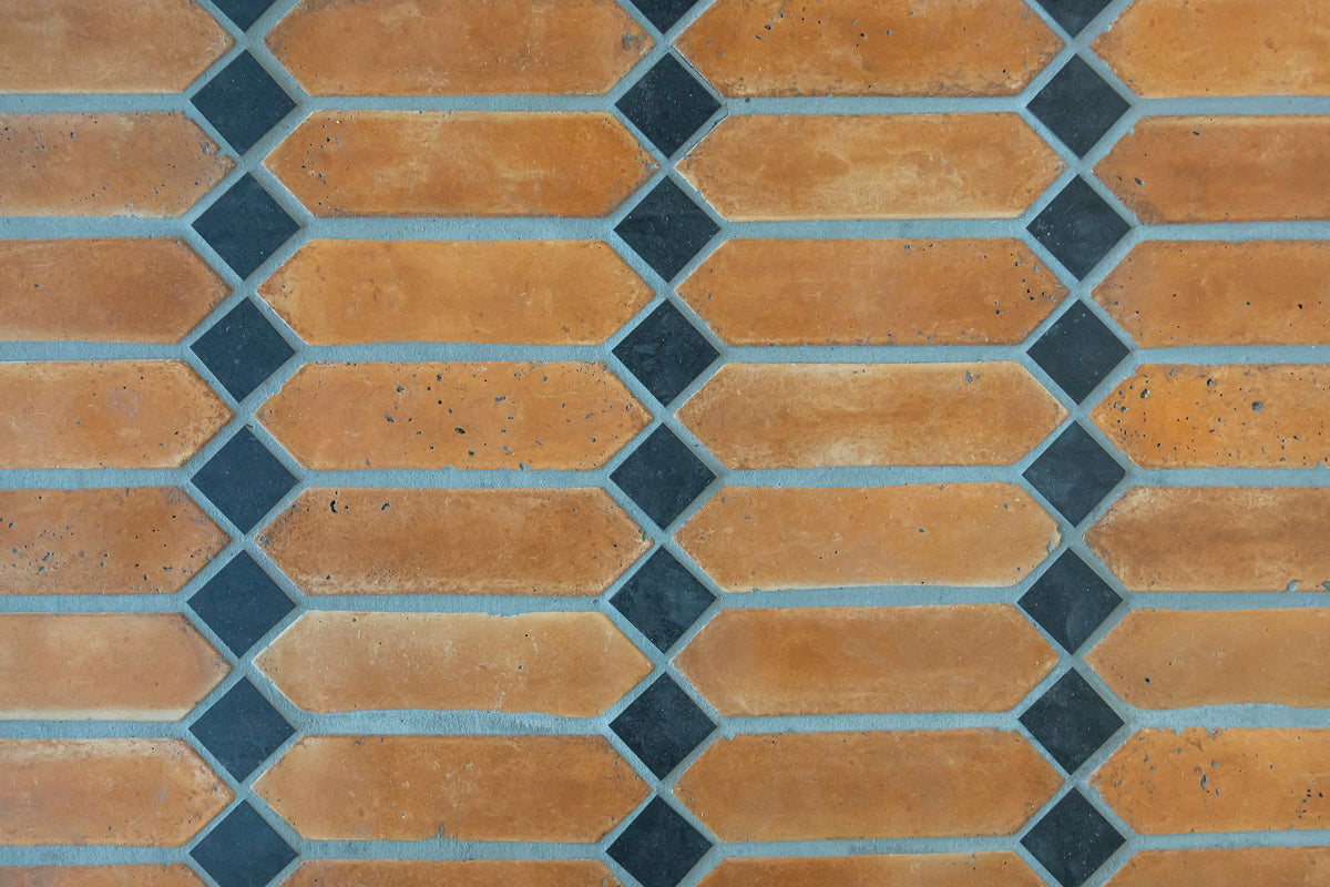 Close-up of Picket in Sonora Sunset