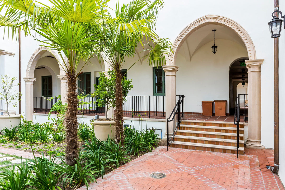 Courtyard steps and palms