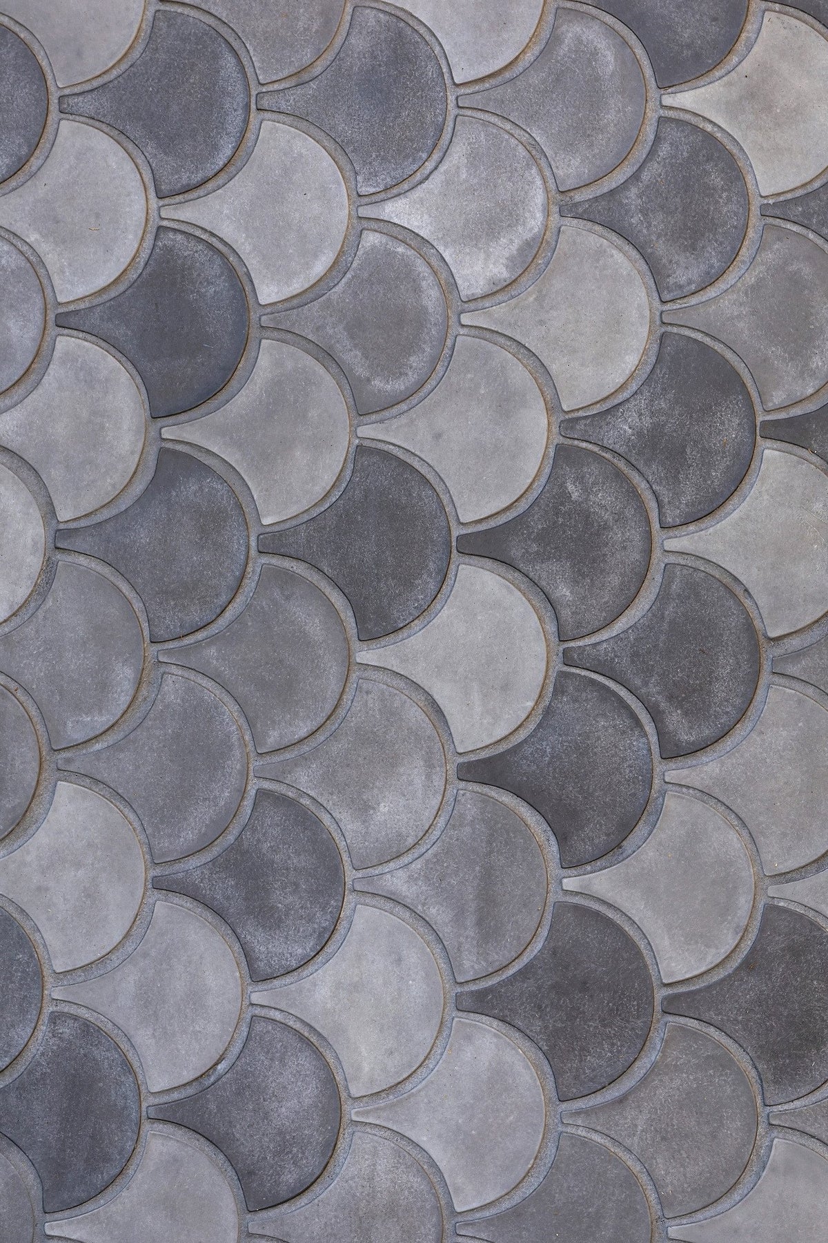 Close-up of Artillo Conche, Portland Blend