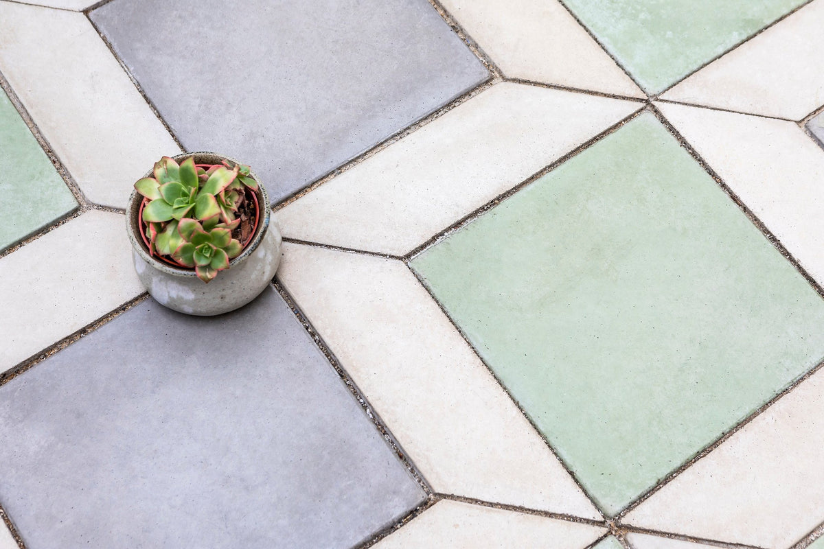 Succulent on cream and green tile