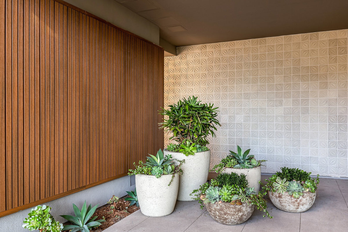 Entry court with Compass tile wall