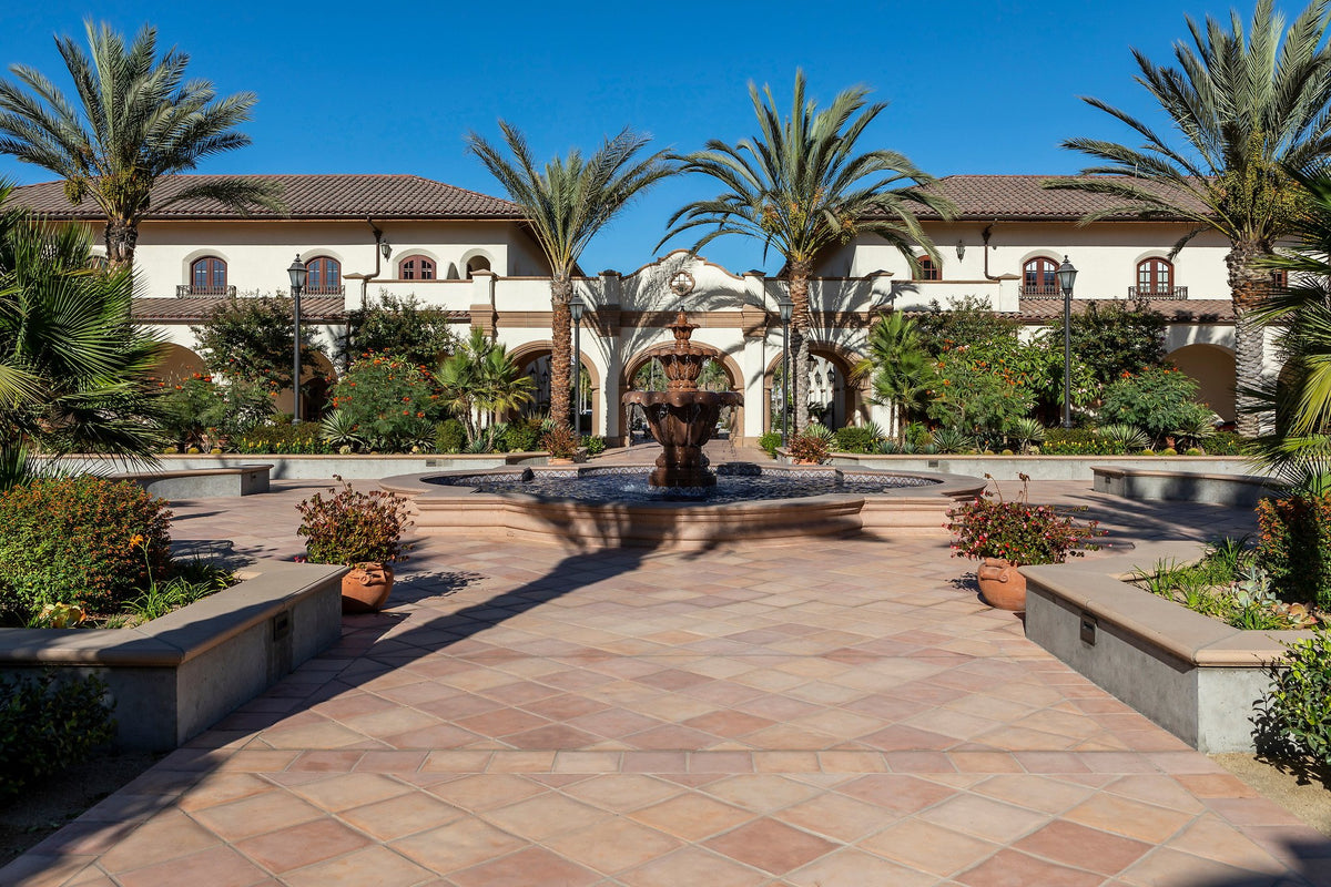 Fountain court framed by palms